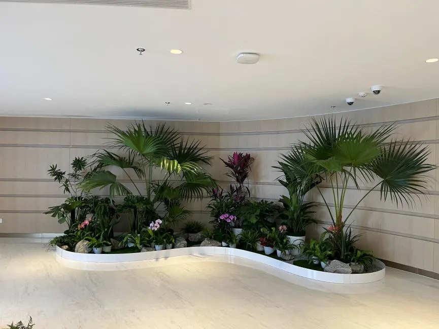 慈溪绿植租摆价格